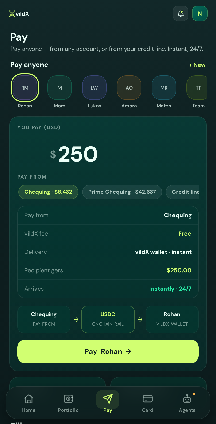 vildX pay screen